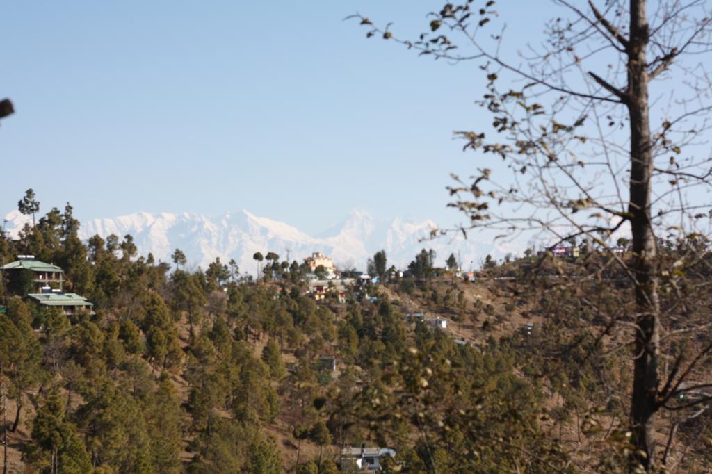 Вилла Kasar Rainbow Yoga Retreat Алмора Экстерьер фото